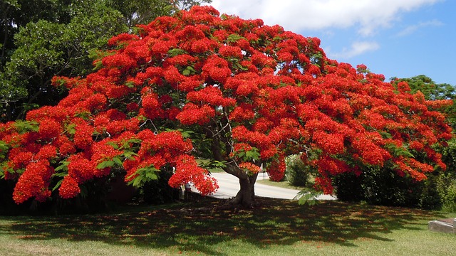 Bermuda Business News
