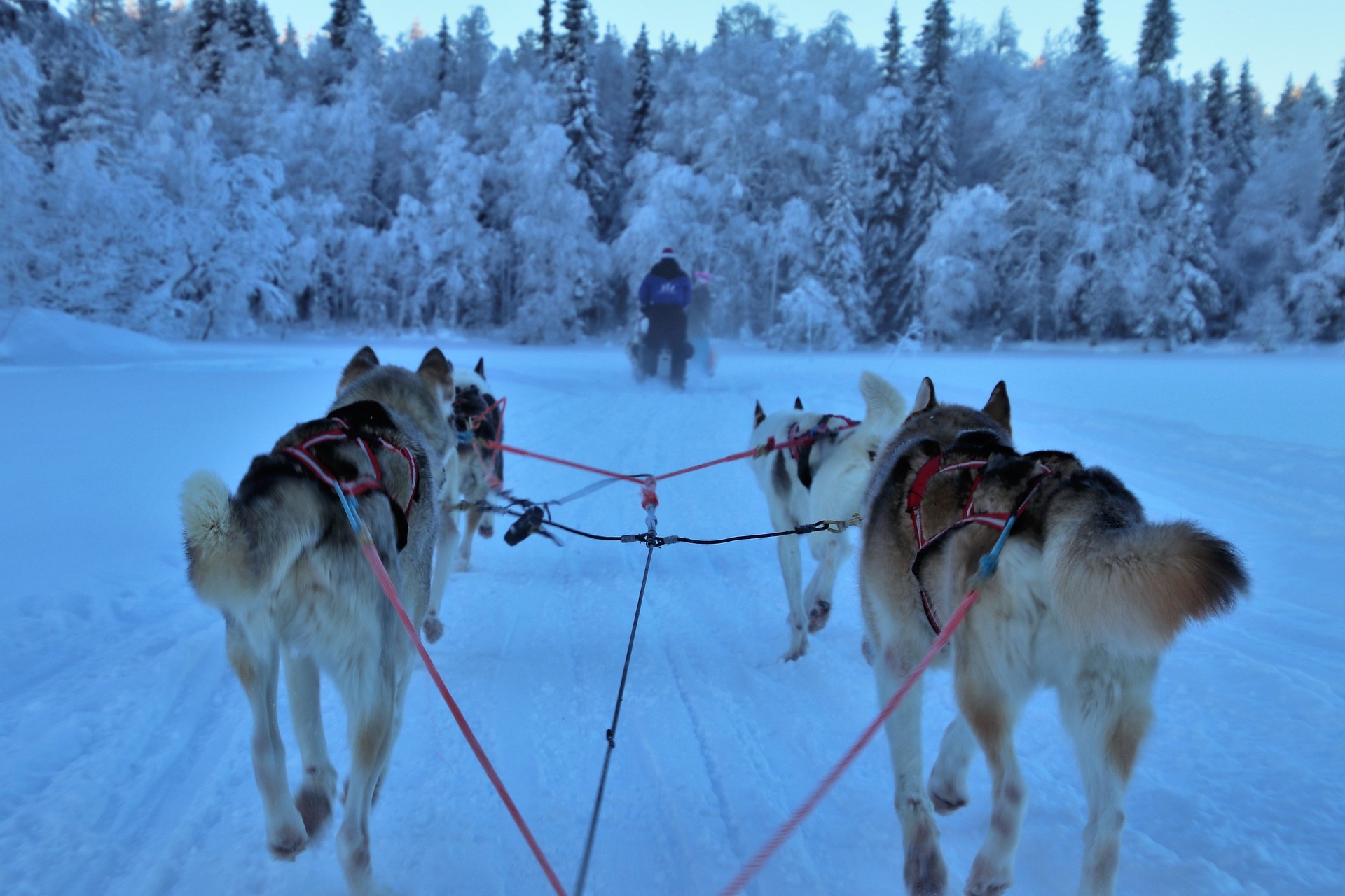 Foreign Embassies & Consulates in Finland