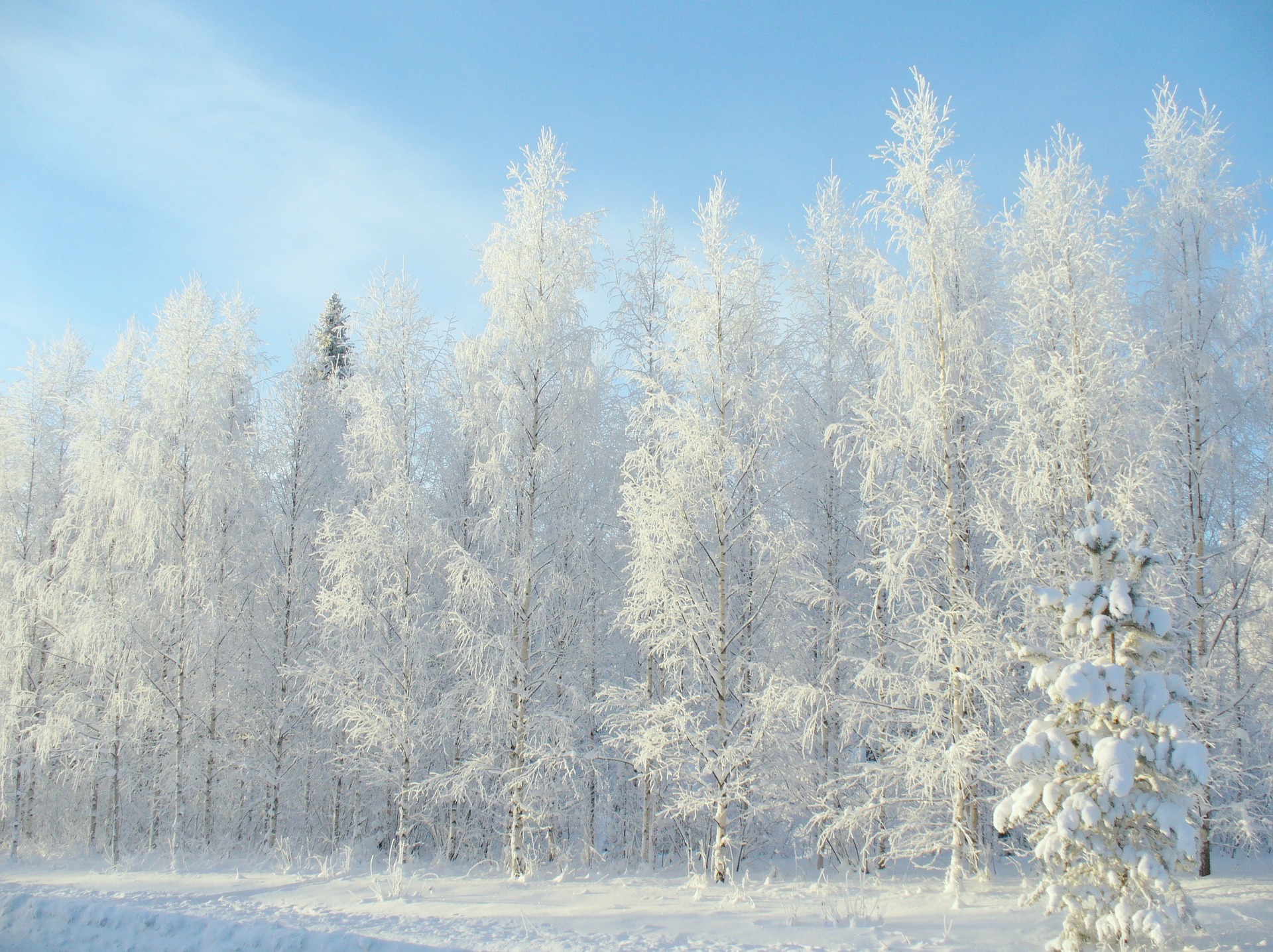 Finland Airlines and Airports in Finland