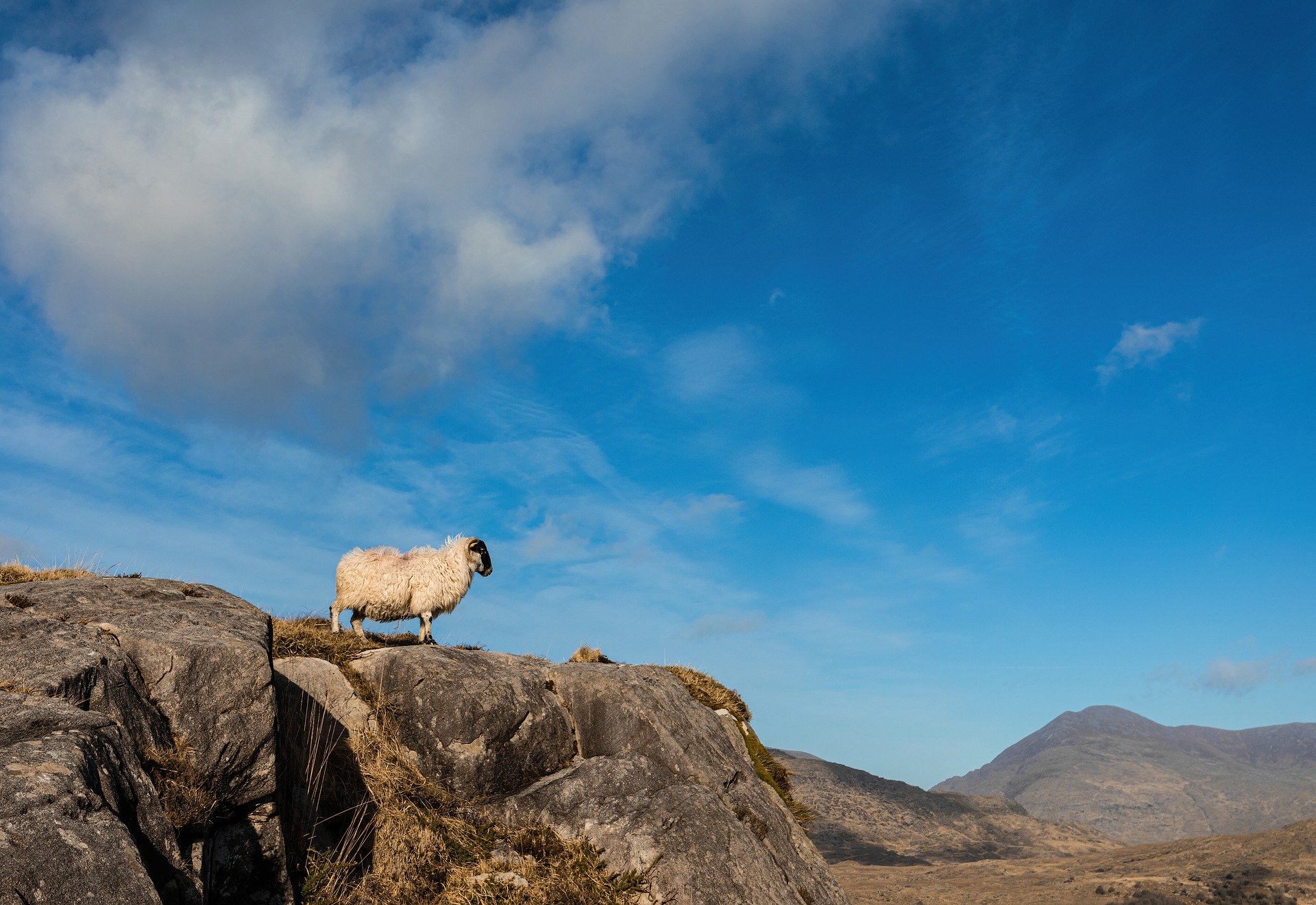 Ireland Airlines and Airports in Ireland