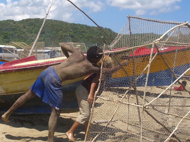Jamaica Visas and Work Permits