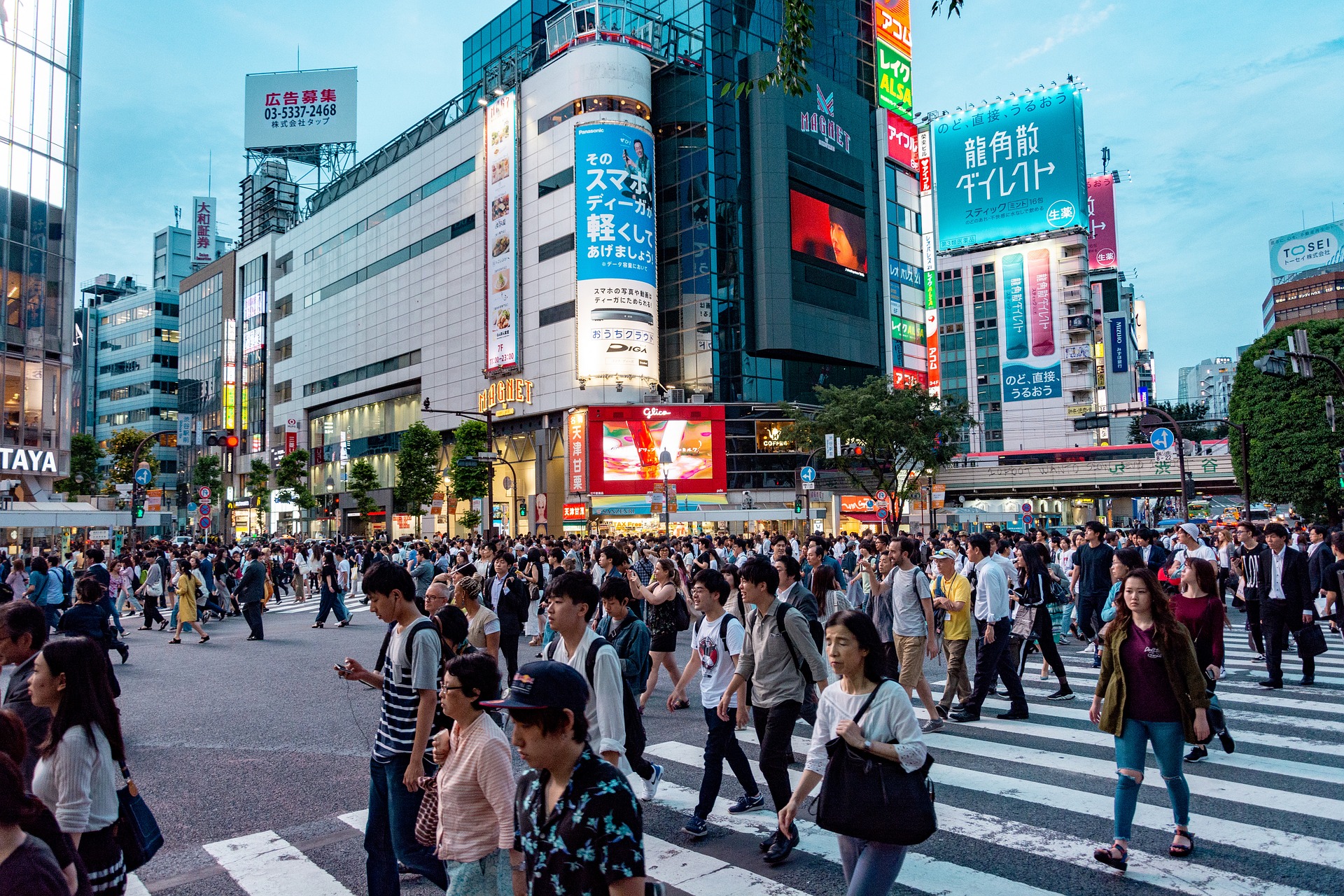 Japan Visas and Work Permits