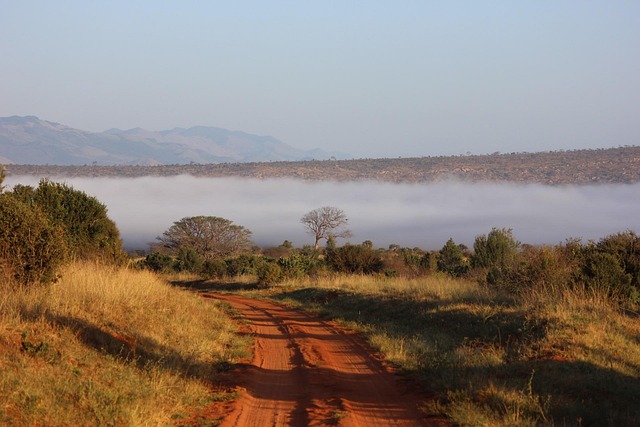 Kenya V.A.T. and Other Taxes