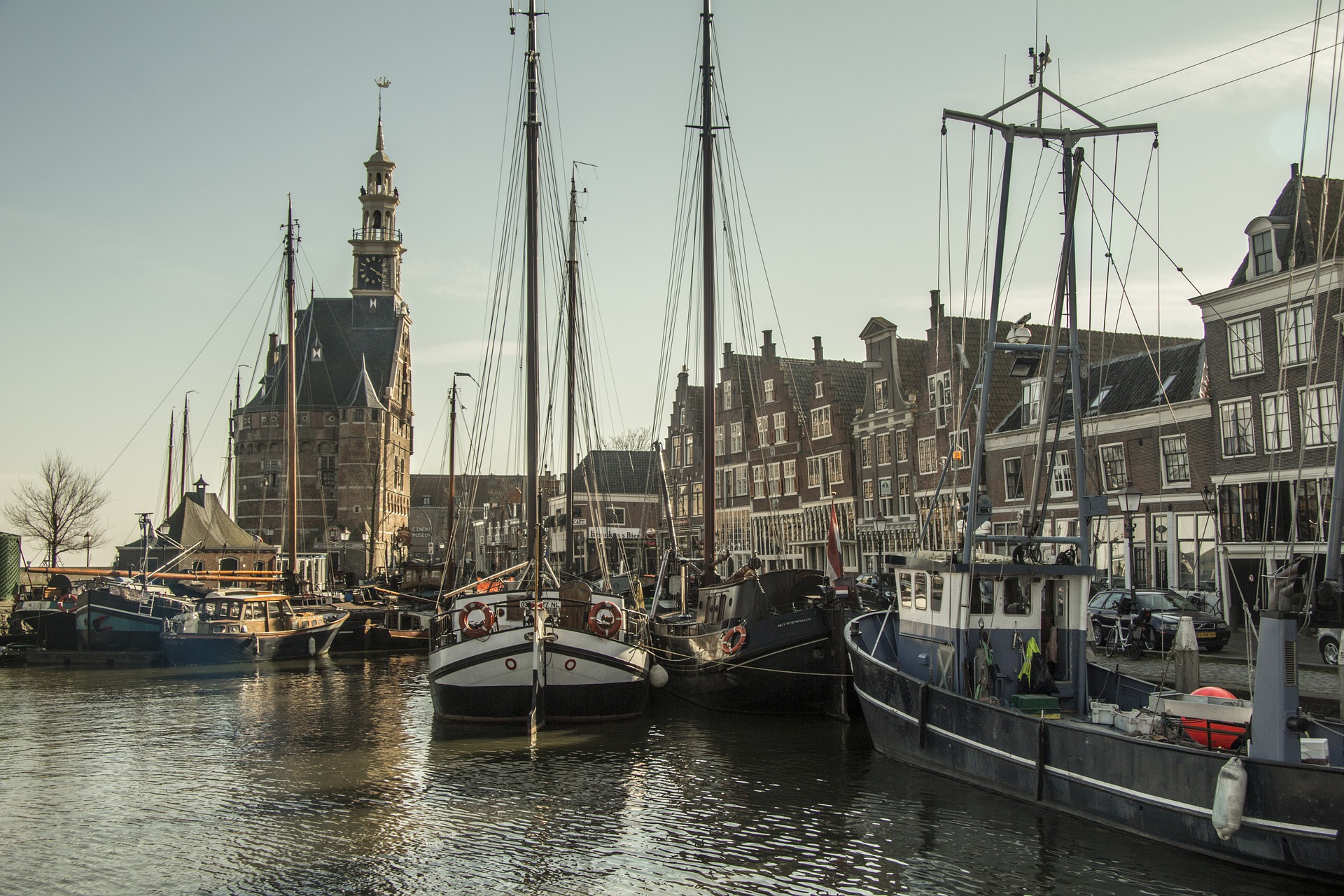 Netherlands Business Opportunities,B2B Marketplace